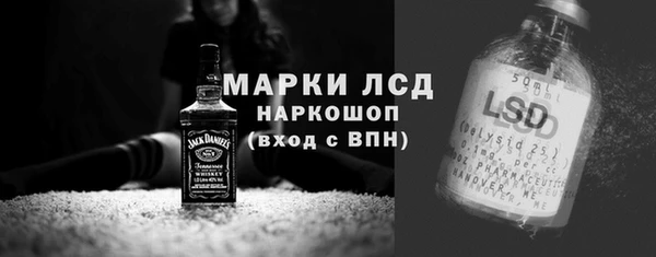 хмурый Алзамай