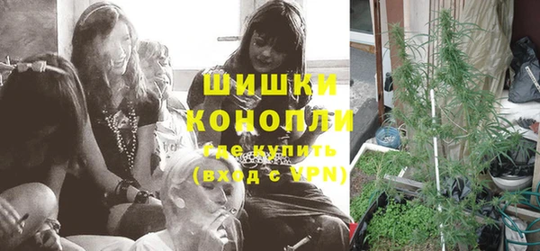 молекула духа Покровск