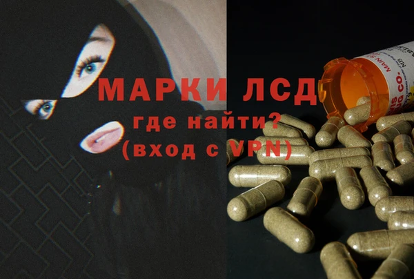 apvp Алексин