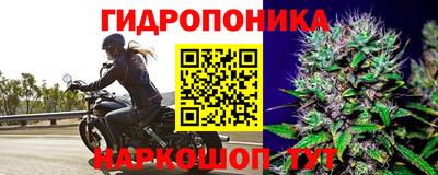 эйфоретик Гусиноозёрск